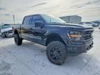 2024 Ford F150 xlt
