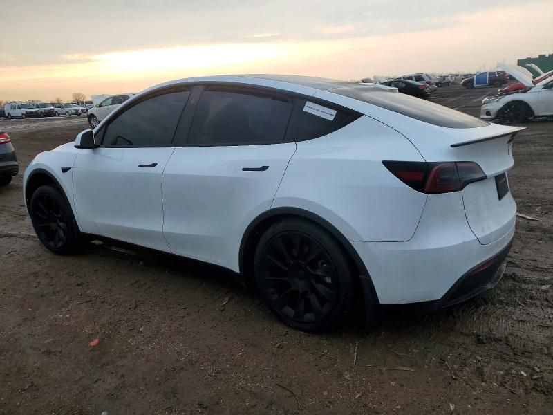 2024 Tesla Model y