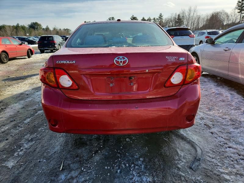 2010 Toyota Corolla Base