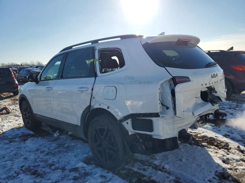 2025 KIA Telluride ex