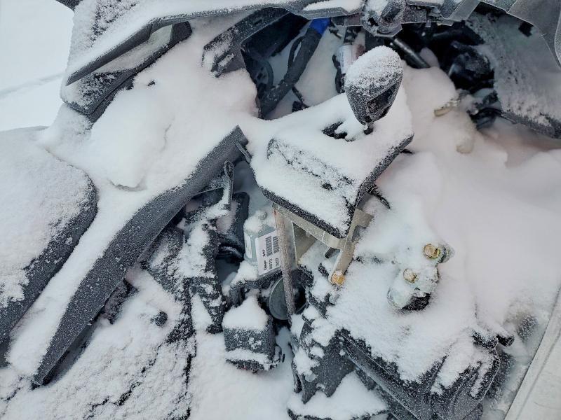 2025 Skidoo Expedition se 900 t