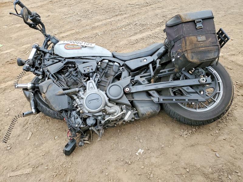 2024 Harley-Davidson Night