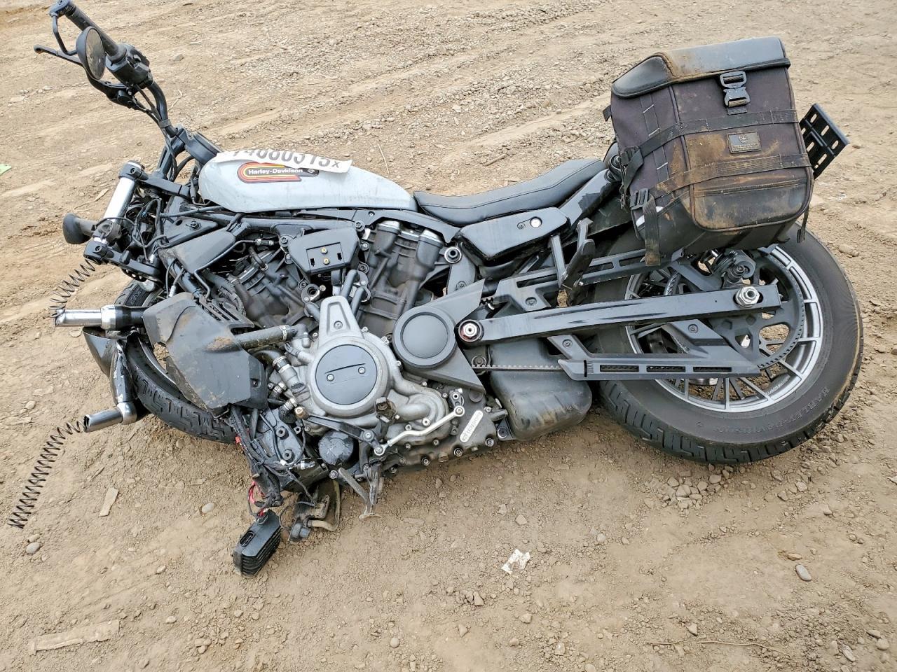 2024 Harley-Davidson Night