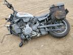 2024 Harley-Davidson Night