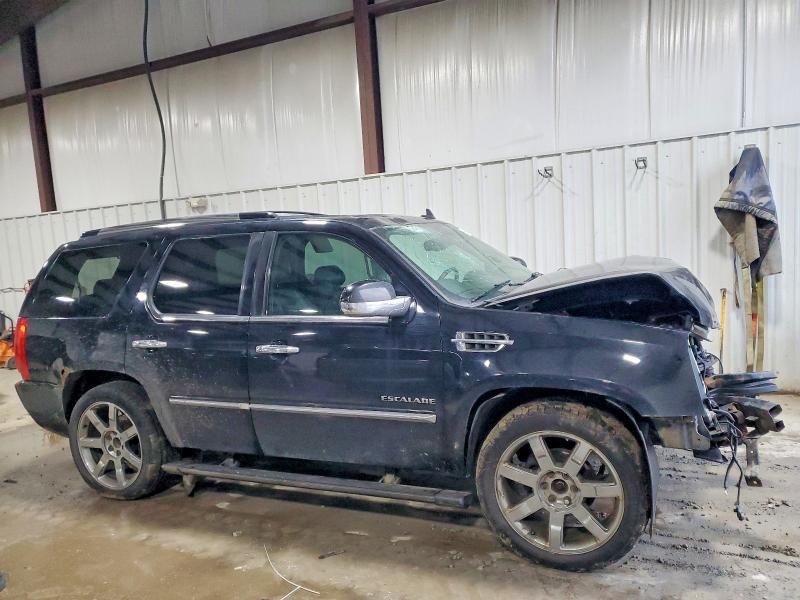 2010 Cadillac Escalade Premium