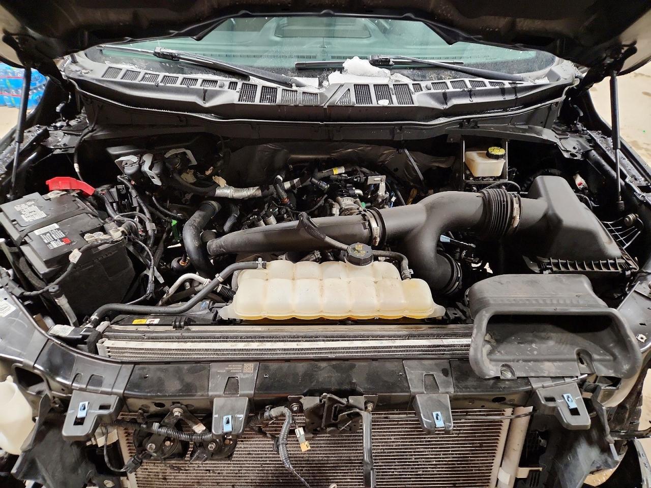 2024 Ford F150 xlt