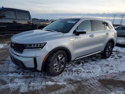 Salvage cars for sale from Copart Elgin, IL: 2023 KIA Sorento ex