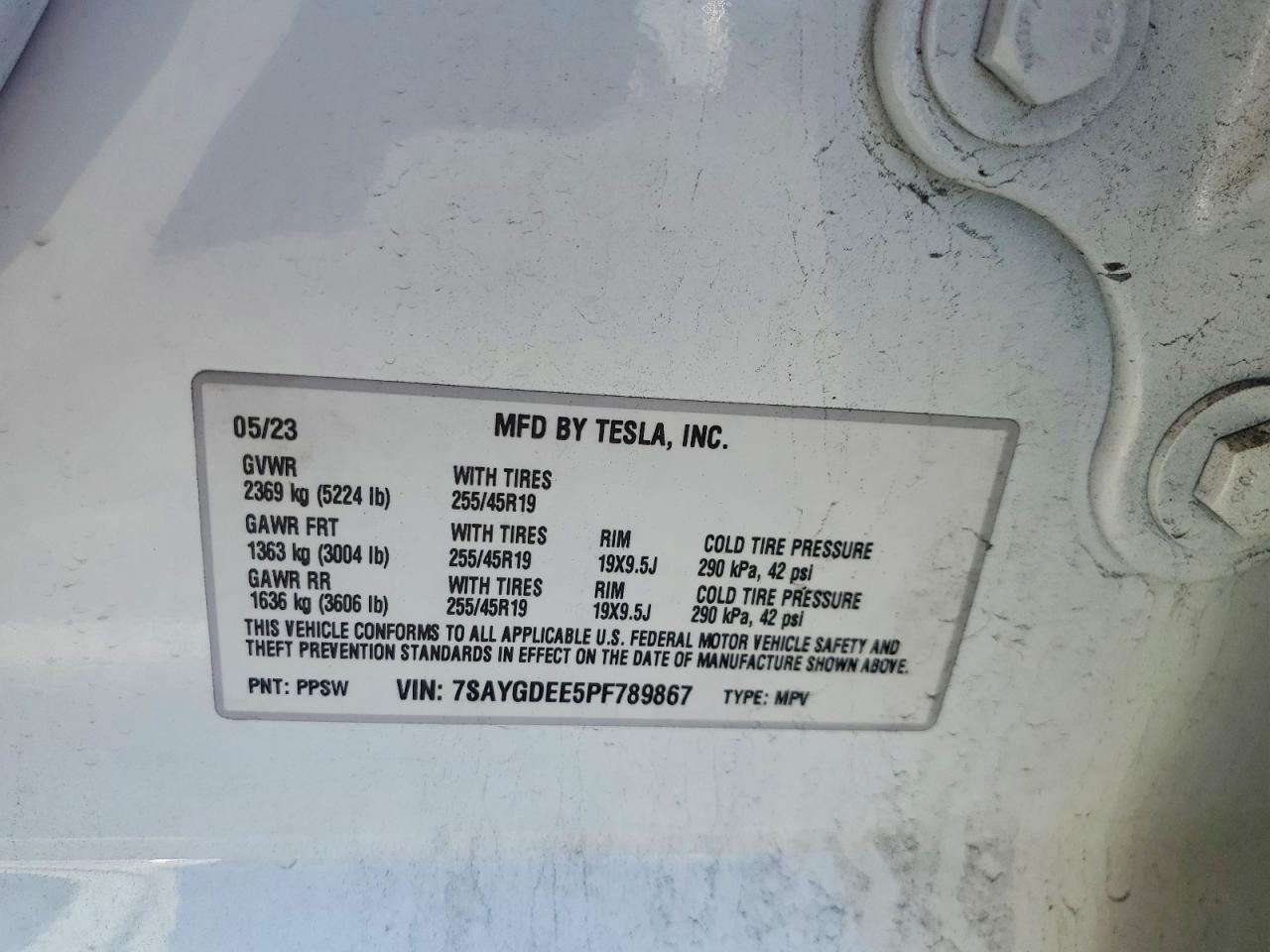 2023 Tesla Model y