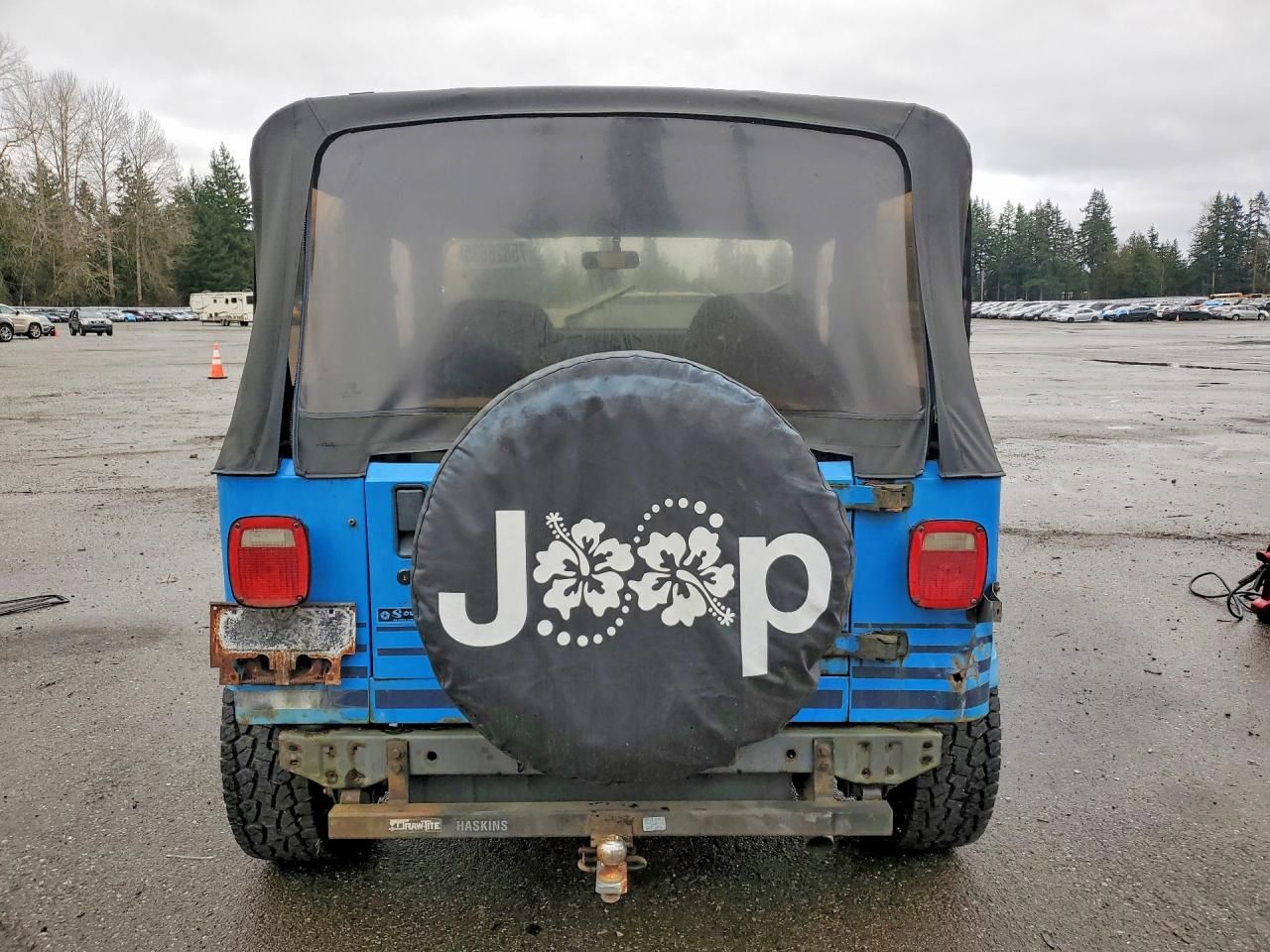 1990 Jeep Wrangler / yj Islander