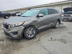 2017 KIA Sorento lx en venta en Louisville, KY