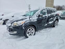 2014 Ford Escape Titanium for sale in Wayland, MI