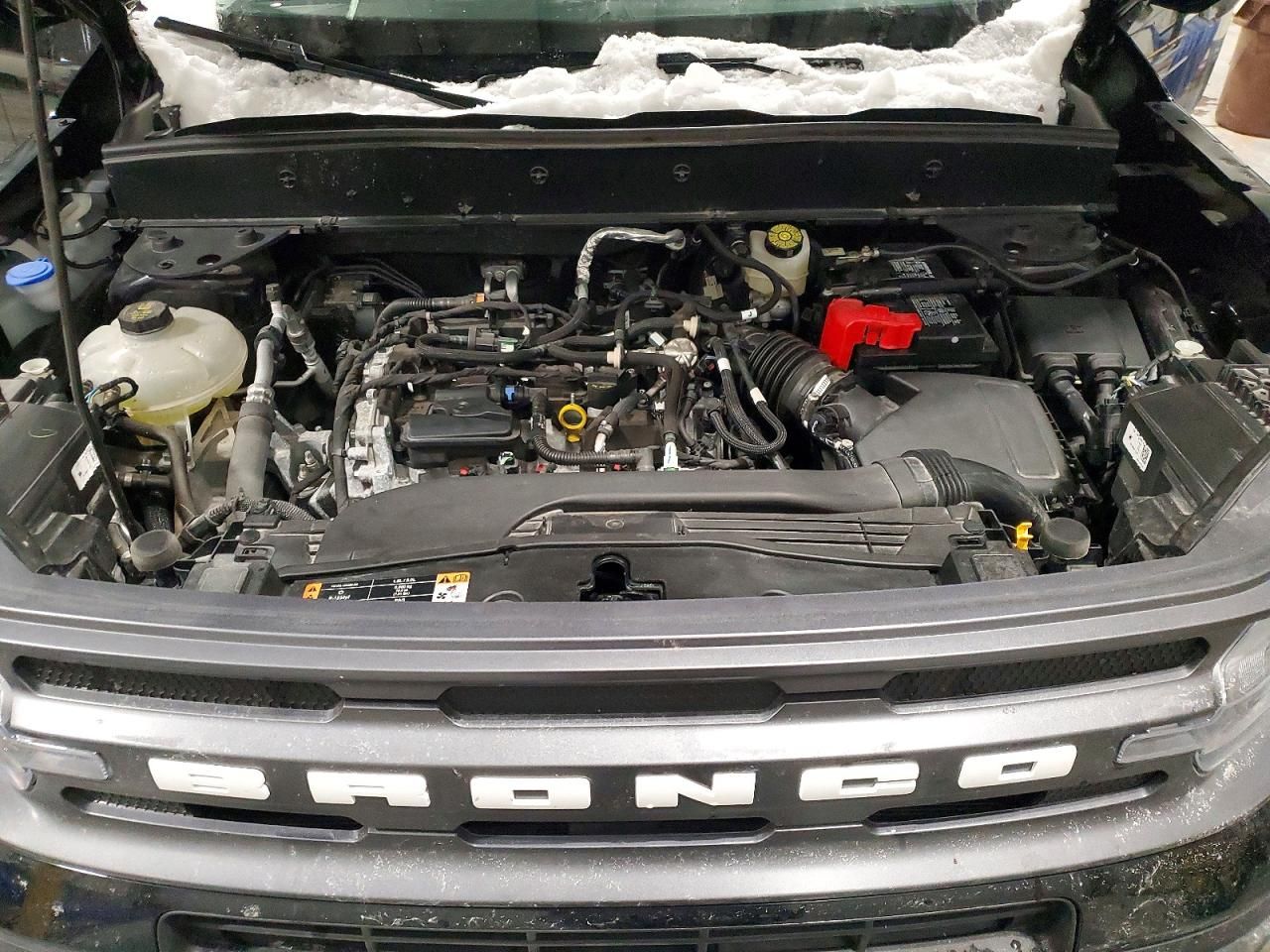 2024 Ford Bronco Sport big Bend