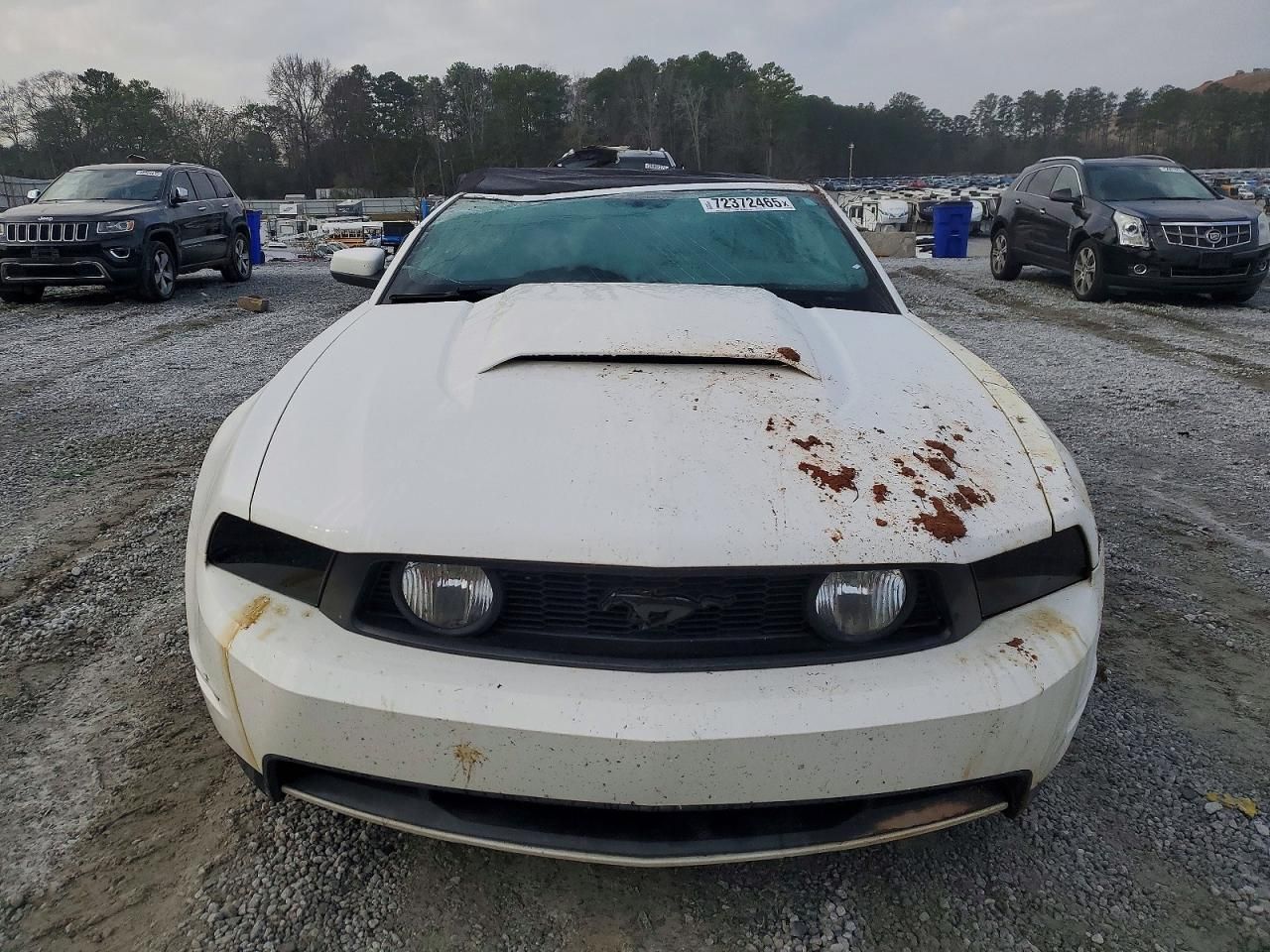 2010 Ford Mustang gt