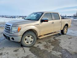 Salvage trucks for sale at Sikeston, MO auction: 2013 Ford F150 Supercrew