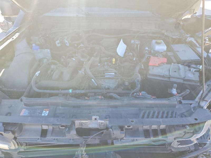 2024 Ford Bronco Everglades