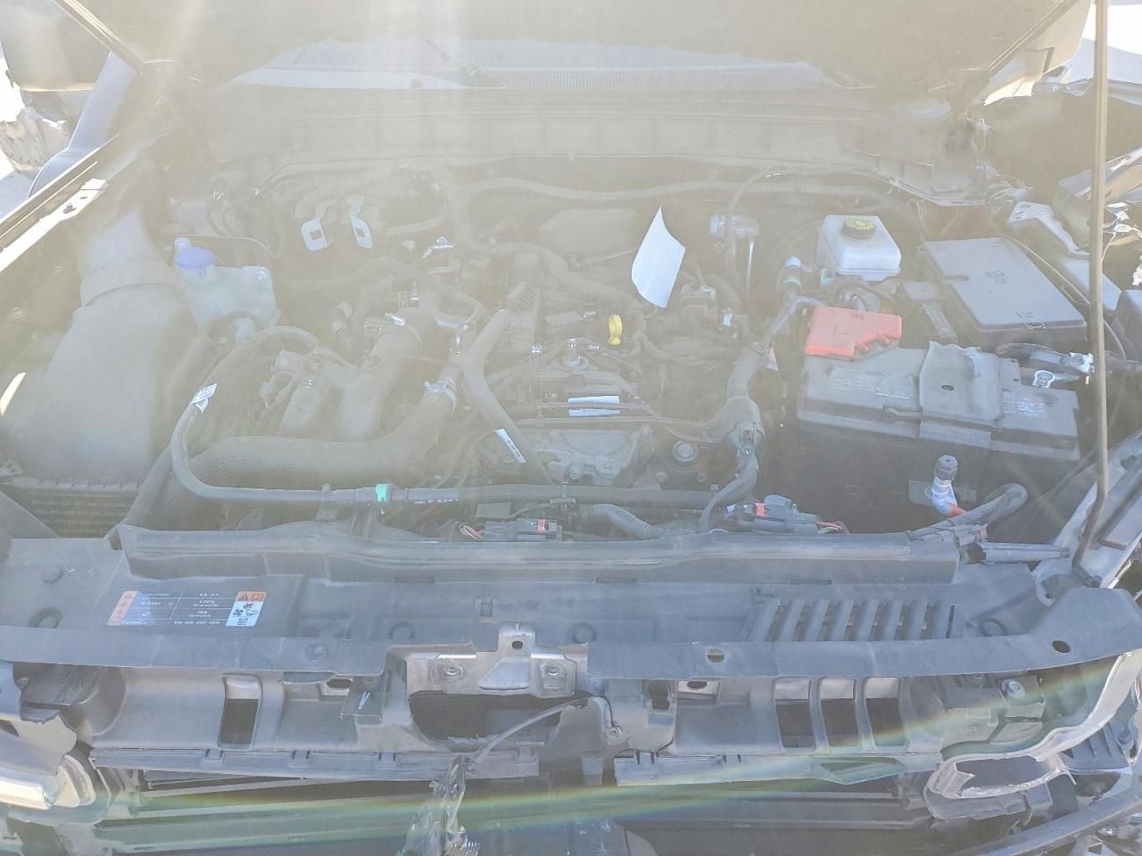 2024 Ford Bronco Everglades