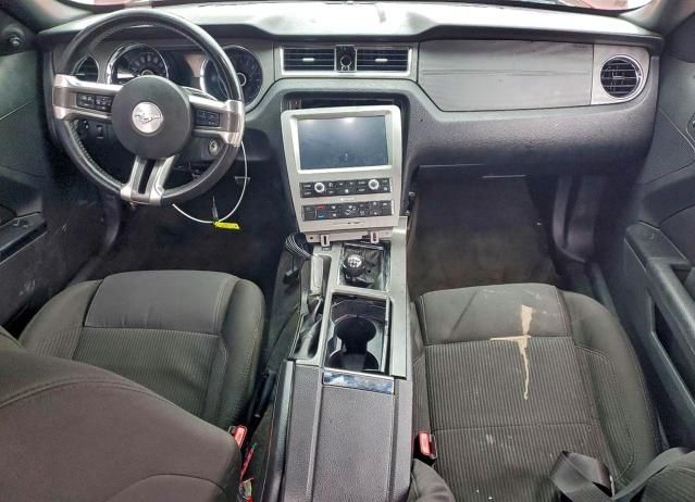 2014 Ford Mustang gt