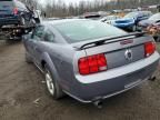2007 Ford Mustang gt