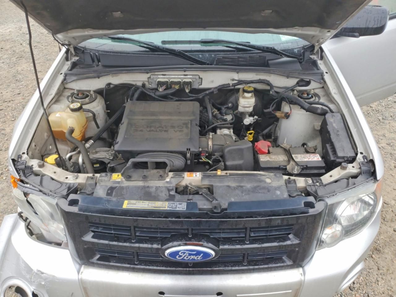 2010 Ford Escape xlt