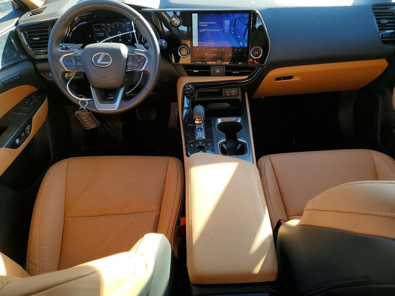 2024 Lexus Nx 250 Premium