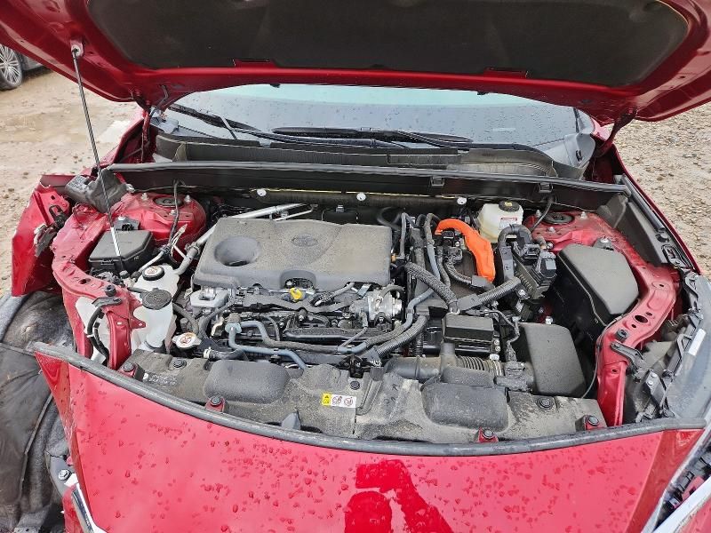 2024 Toyota Venza le