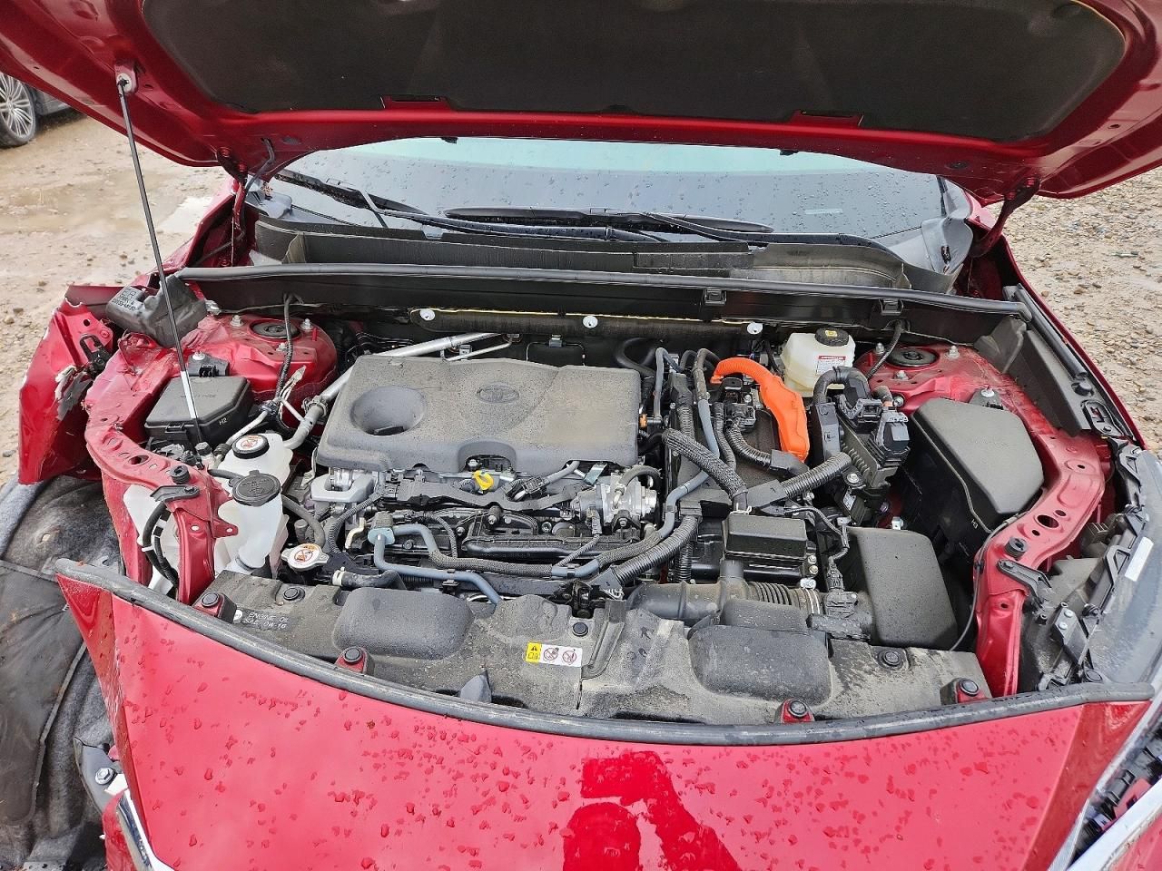 2024 Toyota Venza le