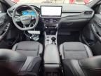 2024 Ford Escape st Line Select