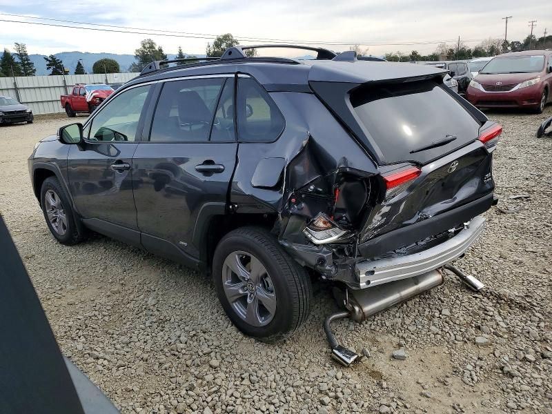 2025 Toyota Rav4 xle