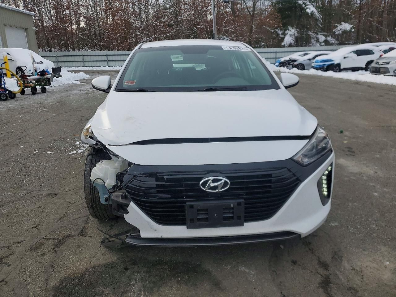 2017 Hyundai Ioniq sel