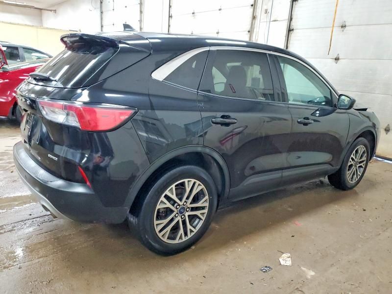 2022 Ford Escape sel