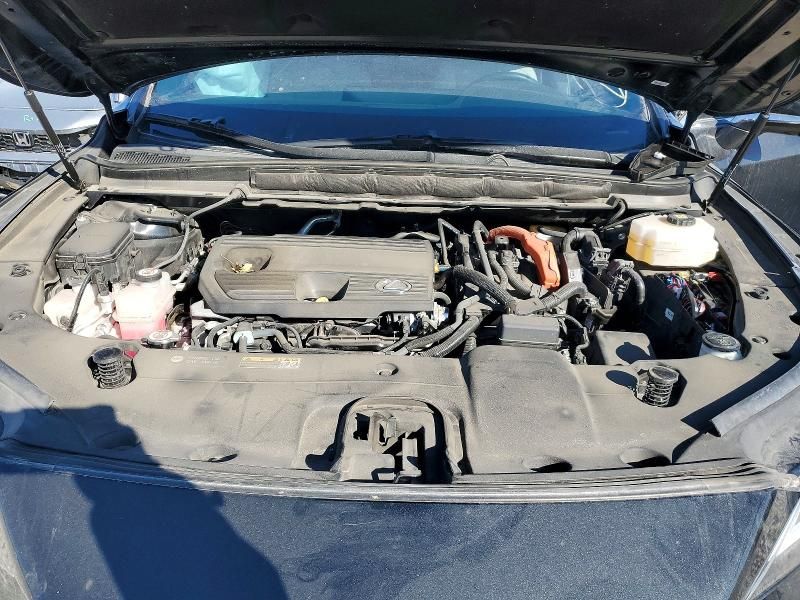 2024 Lexus Rx 350h Base