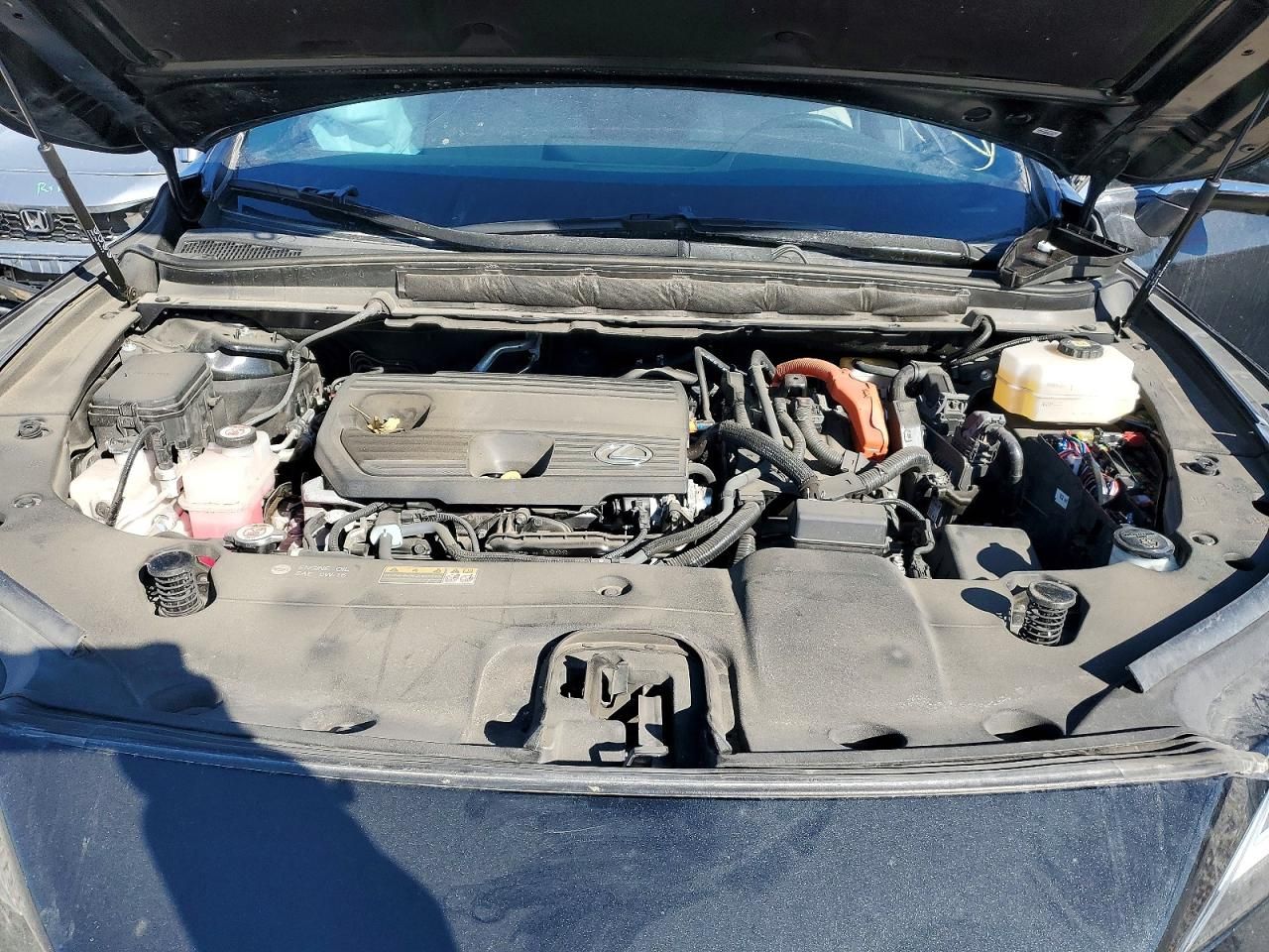 2024 Lexus Rx 350h Base