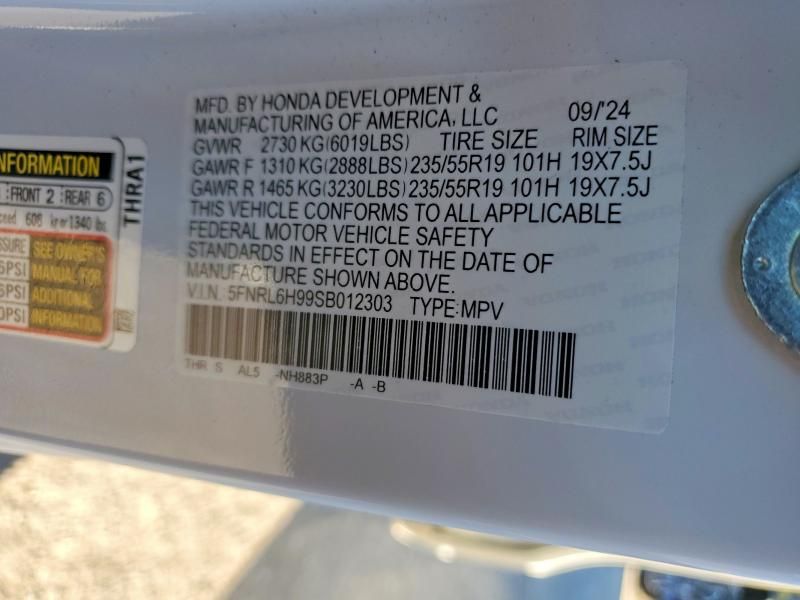 2025 Honda Odyssey Elite