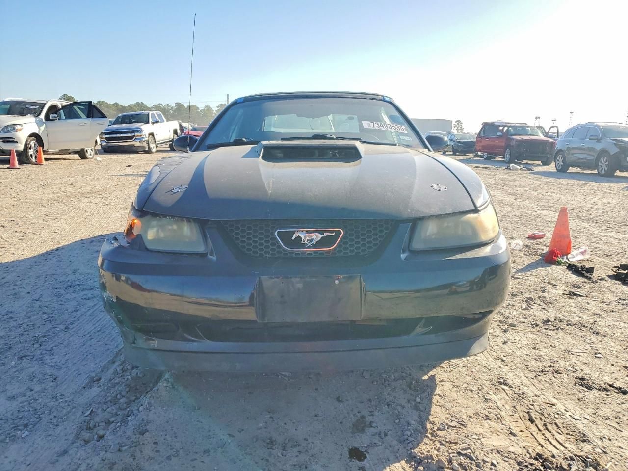 2000 Ford Mustang gt