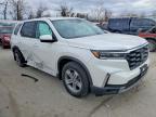 2025 Honda Pilot exl