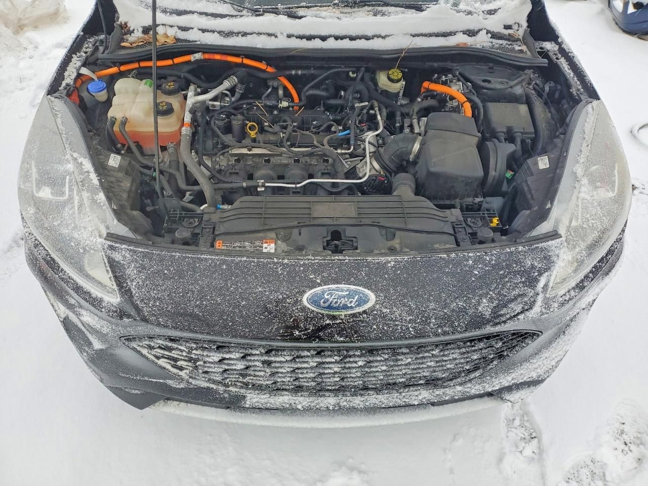 2020 Ford Escape se Sport