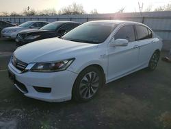 Honda salvage cars for sale: 2014 Honda Accord Hybrid exl