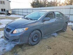 Toyota Corolla salvage cars for sale: 2010 Toyota Corolla Base