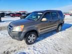 2004 Honda Cr-v ex