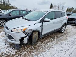 2014 Ford Escape se en venta en Bowmanville, ON
