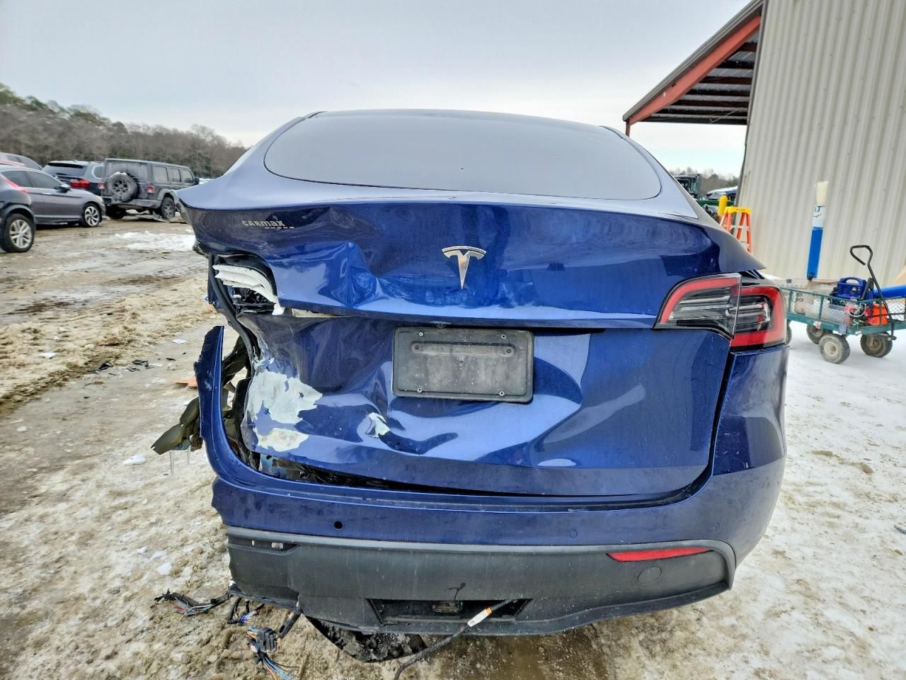 2022 Tesla Model y