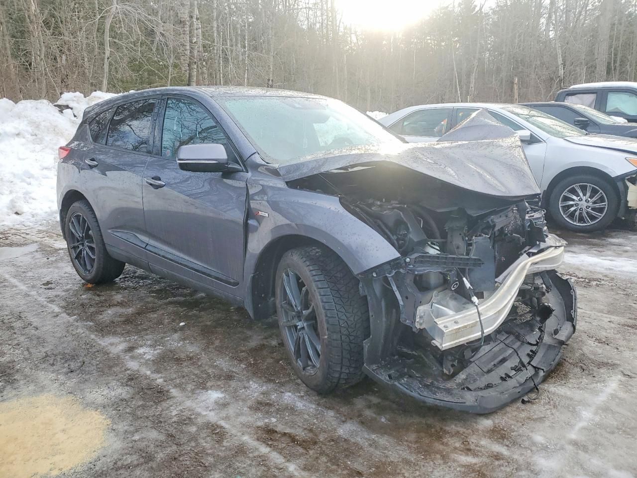 2019 Acura Rdx A-spec