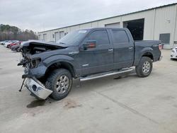 2013 Ford F150 Supercrew en venta en Gaston, SC