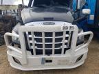 2019 Freightliner Cascadia 126 Semi Truck