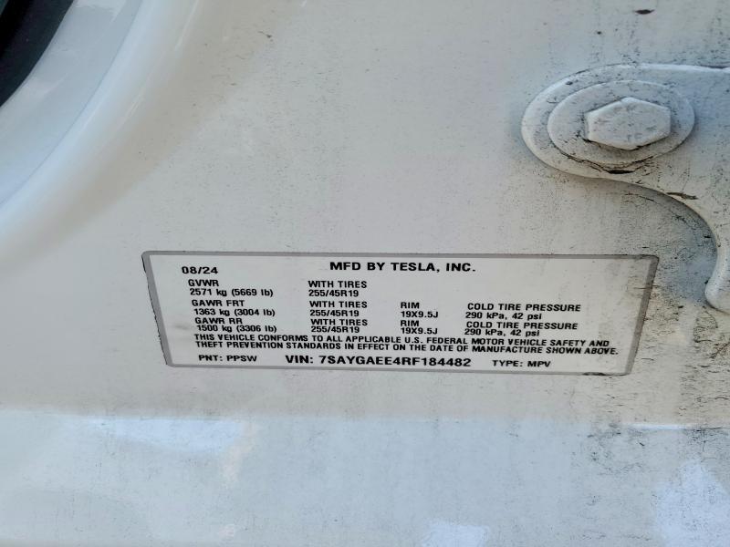 2024 Tesla Model y