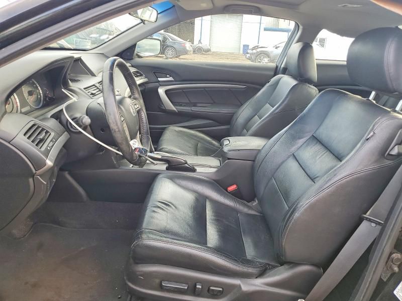 2010 Honda Accord exl