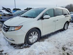 Honda Vehiculos salvage en venta: 2015 Honda Odyssey exl
