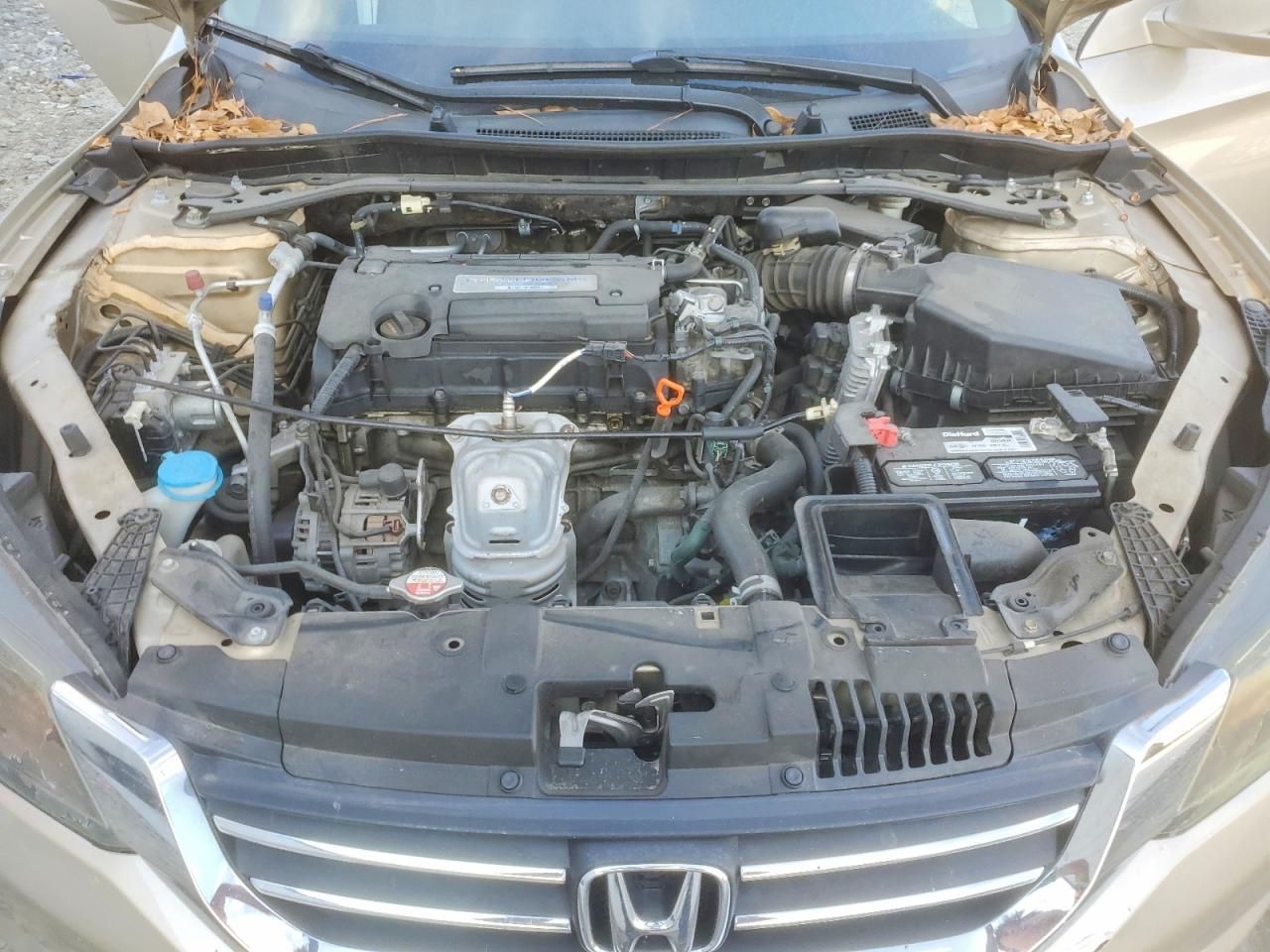 2014 Honda Accord exl