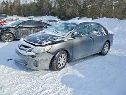 Salvage cars for sale from Copart Cookstown, ON: 2012 Toyota Corolla Base