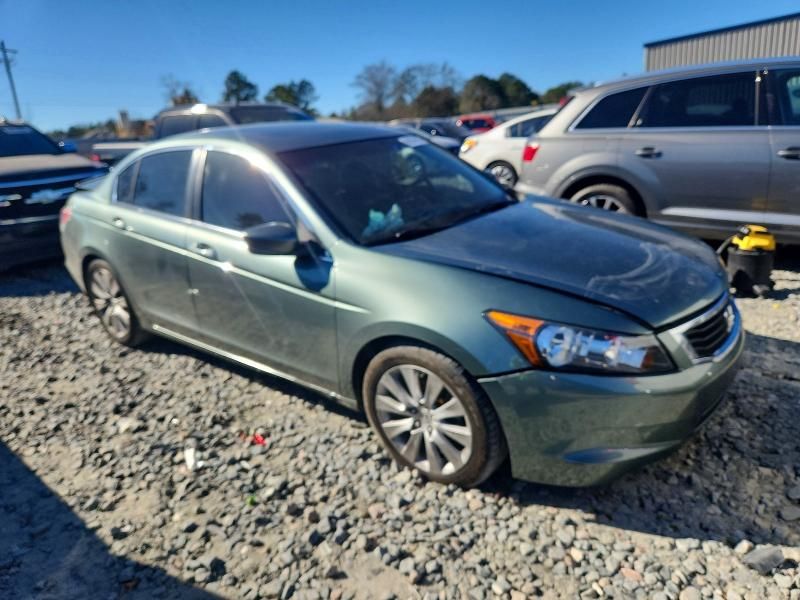 2010 Honda Accord exl